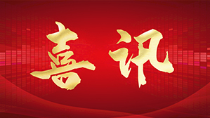 Lankwitzer: Winner of Lizhong Group "2023 Excellent Quality Supplier Award"
